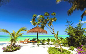 G敗 ǎ|X^[ (͂V[) fBu p_CXEr[` C  oP[V AT LN RMDV-007W2 (Ch 603mm×376mm) { EH[XebJ[ C|X^[