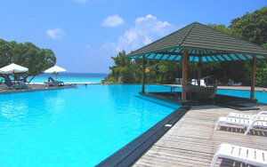 G敗 ǎ|X^[ (͂V[) fBu v[TCh Txbh C  ][g LN RMDV-010W2 (Ch 603mm×376mm) { EH[XebJ[ C|X^[