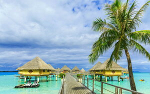 �G�敗 �ǎ��|�X�^�[ (�͂�����V�[����) �|���l�V�A �{���{���� ����R�e�[�W ���V�̖� ���]�[�g ���� �L�����N�� RPLN-010W2 (���C�h�� 603mm×376mm) �����{���� �E�H�[���X�e�b�J�[ �����C�|�X