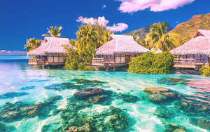 G敗 ǎ|X^[ (͂V[) 썑][g Re[W oP[V  LN MRST-002W2 (Ch 603mm×376mm) { EH[XebJ[ C|X^[