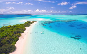 G敗 ǎ|X^[ (͂V[) fBu p_CXEACh gsJ][g C LN RMDV-019W2 (Ch 603mm×376mm) { EH[XebJ[ C|X^