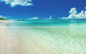 G敗 ǎ|X^[ (͂V[) y㉺2dlz̊CiF {œ[̓AgƊԓjVml̓ʂCƃXJCu[sʐ^/OYt LN M-OKN-003L1W(p