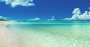 G敗 ǎ|X^[ (͂V[) y㉺2dlz̊CiF {œ[̓AgƊԓjVml̓ʂCƃXJCu[sʐ^/OYt LN M-OKN-003X1W(p