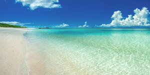 G敗 ǎ|X^[ (͂V[) ̊CiF {œ[̓AgƊԓjVml̓ʂCƃXJCu[ r[` i LN M-OKN-004S1(pm}S 1152mm×576mm){