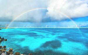 絵画風 壁紙ポスター (はがせるシール式) 【特大上下2枚仕様】沖縄の海景色 幻想的な虹のアーチ 波照間島ニシノ浜の鮮やかなレインボー《写真家/三浦金徳》 キャラクロ M-OKN-008L1W(パノラマL