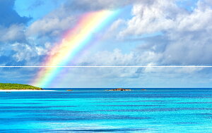 G敗 ǎ|X^[ (͂V[) y㉺2dlz̊CiF zIȓ gƊԓjVml̑N₩ȃC{[ isʐ^/OYt LN M-OKN-010L1W(pm}L 1