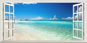 G敗 ǎ|X^[ (͂V[) -̌iF- ̊CiF ̊CiF {œ[ gƊԓ̓ʂCƃXJCu[ ydl^gbNA[gz LN M-OKN-006MS1(pm