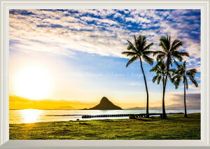 G敗 ǎ|X^[ (͂V[) -̌iF- nC IAt̗[zƃ`Ci}YEnbg(RC) Jni l C RyȂdlz LN HWI-031NA2 (A2 594mm×420mm) 