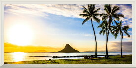 楽天市場 ハワイ 壁紙 壁紙 装飾フィルム インテリア 寝具 収納の通販