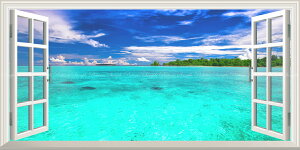 G敗 ǎ|X^[ (͂V[) -̌iF- uȃ^[RCYu[̊CiF EBfB n}w ChlVA i ydl^gbNA[gz LN M-RIDN-001MS1(p