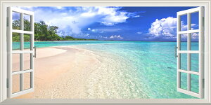 G敗 ǎ|X^[ (͂V[) -̌iF- Ghu[̃gsJr[` EBfB n}w ChlVA i ydl^gbNA[gz LN M-RIDN-003MS1