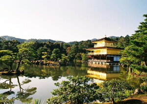 G敗 ǎ|X^[ (͂V[) t Βr   kR LN KKJ-002A2 (A2 594mm×420mm) { EH[XebJ[ C|X^[