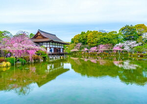 G敗 ǎ|X^[ (͂V[) _{  Mo   LN KHAJ-002A1 (A1 830mm×585mm) { EH[XebJ[ C|X^[