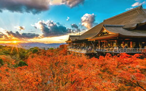 G敗 ǎ|X^[ (͂V[) [Ƃ炷s̕ƍgt HR  EY iX|bg LN M-KMD-001W2(Ch 603mm×376mm){ EH[XebJ[ 