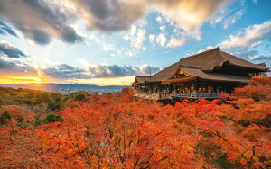 G敗 ǎ|X^[ (͂V[) [Ƃ炷s̕ƍgt HR  EY iX|bg LN M-KMD-003W2(Ch 603mm×376mm){ EH[XebJ[ 