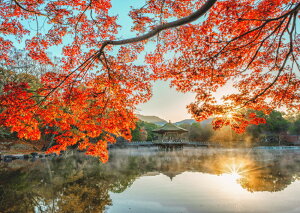 G敗 ǎ|X^[ (͂V[) ÓsޗǁAH̕Ɨ[zɉfgt iX|bg LN M-KNR-001A1(A1 830mm×585mm){ EH[XebJ[ C|X^[