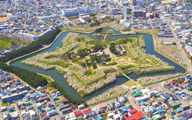 絵画風 壁紙ポスター (はがせるシール式) 五稜郭と満開の桜 さくら 函館 五稜郭公園 特別史跡 キャラクロ HGRK-002W1 (ワイド版 921mm×576mm) ＜日本製＞ ウォールステッカー お風呂ポスター