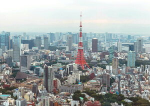 �G�敗 �ǎ��|�X�^�[ (�͂�����V�[����) �����^���[ ���i �L�����N�� TKT-008A2 (A2�� 594mm×420mm) �����{���� �E�H�[���X�e�b�J�[ �����C�|�X�^�[