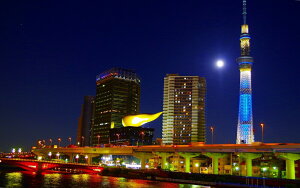 G敗 ǎ|X^[ (͂V[) XJCc[  i ATqr[ LN TST-012W1 (Ch 921mm×576mm) { EH[XebJ[ C|X^[