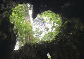 楽天市場 屋久島 ポスターの通販