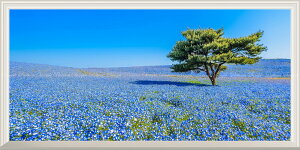 G敗 ǎ|X^[ (͂V[) -̌iF- cЂCl t݂̂͂炵̋u ltB Ԕ yȂdlz LN HTKK-001NS1 (pm}S 1152mm×576mm) { EH