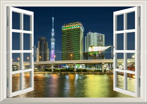 G敗 ǎ|X^[ (͂V[) -̌iF- XJCc[ i c ATqr[ V]L ydl^gbNA[gz LN TST-017MA2 (A2 594mm×420mm) { EH