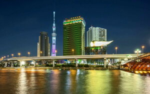 G敗 ǎ|X^[ (͂V[) XJCc[ i c ATqr[ V]L LN TST-017W2 (Ch 603mm×376mm) { EH[XebJ[ C|X^[