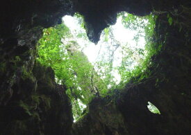 楽天市場 ウィルソン 壁紙 壁紙 装飾フィルム インテリア 寝具 収納の通販 楽天市場 ウィルソン 壁紙 壁紙 装飾フィルム インテリア 寝具 収納の通販