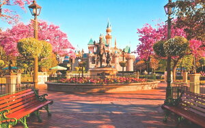 G敗 ǎ|X^[ (͂V[) fBYj[h p  悤 LN DNLP-007W1 (Ch 921mm×576mm){ EH[XebJ[ fBYj[ C|X^[