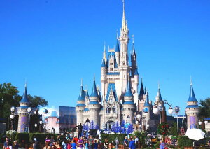 G敗 ǎ|X^[ (͂V[) fBYj[[h }WbNLO_ LN DNW-001A2 (A2 594mm×420mm) { EH[XebJ[ fBYj[ C|X^[