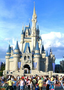 G敗 ǎ|X^[ (͂V[) fBYj[[h }WbNLO_ LN DNW-003A1 (A1 585mm×830mm) { EH[XebJ[ C|X^[