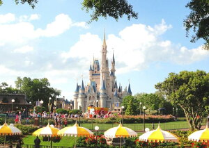 G敗 ǎ|X^[ (͂V[) fBYj[[h }WbNLO_ LN DNW-004A2 (A2 594mm×420mm) { EH[XebJ[ C|X^[