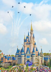 G敗 ǎ|X^[ (͂V[) fBYj[[h }WbNLO_ LN DNW-005A2 (A2 420mm×594mm) { EH[XebJ[ C|X^[