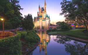 G敗 ǎ|X^[ (͂V[) fBYj[[h [̃Vf CgAbv LN DNW-013W2 (Ch 603mm×376mm) { EH[XebJ[ C|X^[