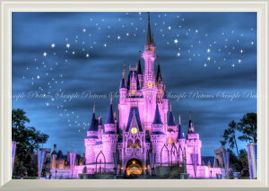 シンデレラ城 壁材の人気商品 通販 価格比較 価格 Com