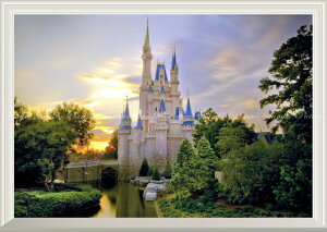 シンデレラ城 壁材の人気商品 通販 価格比較 価格 Com