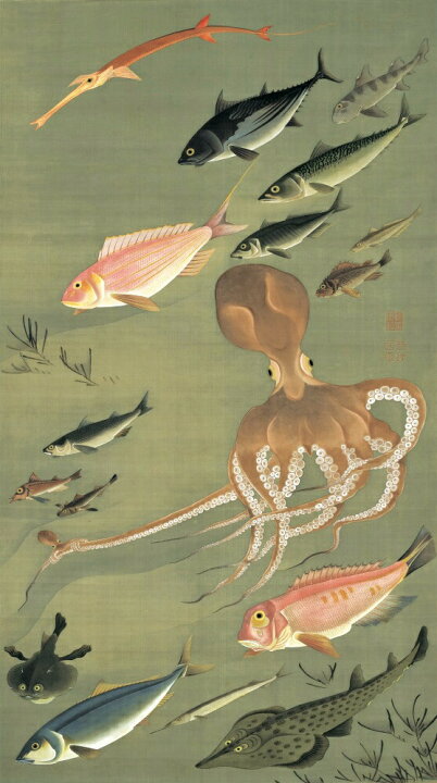 楽天市場 絵画風 壁紙ポスター はがせるシール式 伊藤若冲 動植綵絵 群魚図 蛸 じゃくちゅう 生誕300年 キャラクロ K Itj 033s1 576mm 1033mm 建築用壁紙 耐候性塗料 インテリア レアルインターショップ