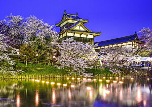 G敗 ǎ|X^[ (͂V[) SR  a ޗ HďG LN KYJ-001A1 (A1 830mm×585mm) { EH[XebJ[ C|X^[