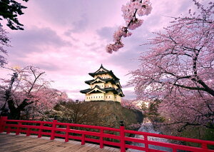 G敗 ǎ|X^[ (͂V[) OO  拴 鉪  LN HRSJ-002A2 (A2 594mm×420mm) { EH[XebJ[ C|X^[