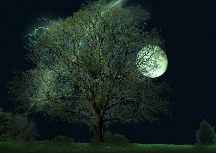 楽天市場 絵画風 壁紙ポスター はがせるシール式 大木 月 スーパームーン 雷 イナズマ 天体 神秘 癒し パワー キャラクロ Mon 005a2 版 594mm 4mm 建築用壁紙 耐候性塗料 インテリア レアルインターショップ