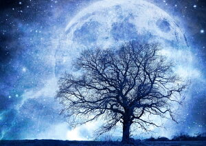 G敗 ǎ|X^[ (͂V[) X[p[[̃N[YAbvƑ  V _  LN MON-013A2 (A2 594mm×420mm) { EH[XebJ[ C|X^[