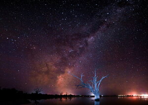 G敗 ǎ|X^[ (͂V[) V̐ ~L[EFC V̐ P V F _ LN GLXY-004A1 (A1 830mm×585mm) { EH[XebJ[ C|X^[