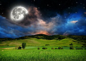 G敗 ǎ|X^[ (͂V[) ƌzIȃX[p[[  _   I[ [Cg _  LN MON-016A2 (A2 594mm×420mm) { EH[XebJ