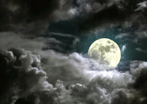 G敗 ǎ|X^[ (͂V[) _ƃX[p[[   [Cg X[p[i _  LN MON-022A1 (A1 830mm×585mm) { EH[XebJ[ C|