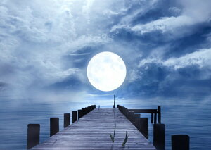 G敗 ǎ|X^[ (͂V[) VƌzIȃX[p[[  _   C [Cg _  LN MON-024A1 (A1 830mm×585mm) { EH[XebJ[ 