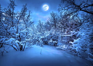 G敗 ǎ|X^[ (͂V[) ቻςƃX[p[[  X ~iF [Cg    LN MON-026A2 (A2 594mm×420mm) { EH[XebJ[ C|X