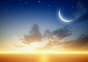 G敗 ǎ|X^[ (͂V[) v̒nƎO TZbg [Ă  C  LN MON-028A1 (A1 830mm×585mm) { EH[XebJ[ C|X^[