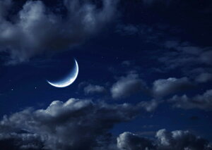 G敗 ǎ|X^[ (͂V[) _ƎO     LN MON-029A2 (A2 594mm×420mm) { EH[XebJ[ C|X^[