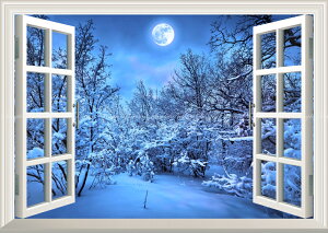 G敗 ǎ|X^[ (͂V[) -̌iF- ቻςƃX[p[[  X ~iF [Cg    ydl^gbNA[gz LN MON-026MA2 (A2 594mm×420mm) 