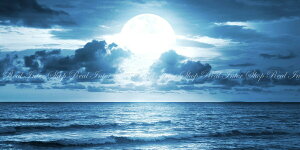 G敗 ǎ|X^[ (͂V[) _IȃX[p[[Cg  g   C X[p[i _  pm} LN MON-023S1 (1152mm×576mm) { EH[XebJ[